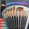 12Pcs Artist Paint Brushes Set Art Acrylic Oil Water Color Painting.
